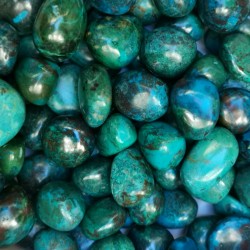 copy of Chrysocolle -...