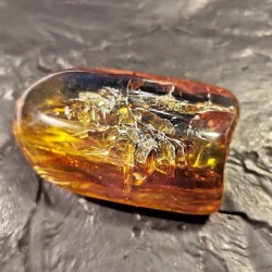 Ambre du Mexique - pièce unique 3 de Catalogue pierres et cristaux