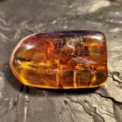 Ambre du Mexique - pièce unique 3 de Catalogue pierres et cristaux