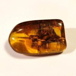 Ambre du Mexique - pièce unique 3 de Catalogue pierres et cristaux