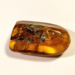 Ambre du Mexique - pièce unique 3 de Catalogue pierres et cristaux