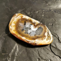 Agate dendritique - pièce...