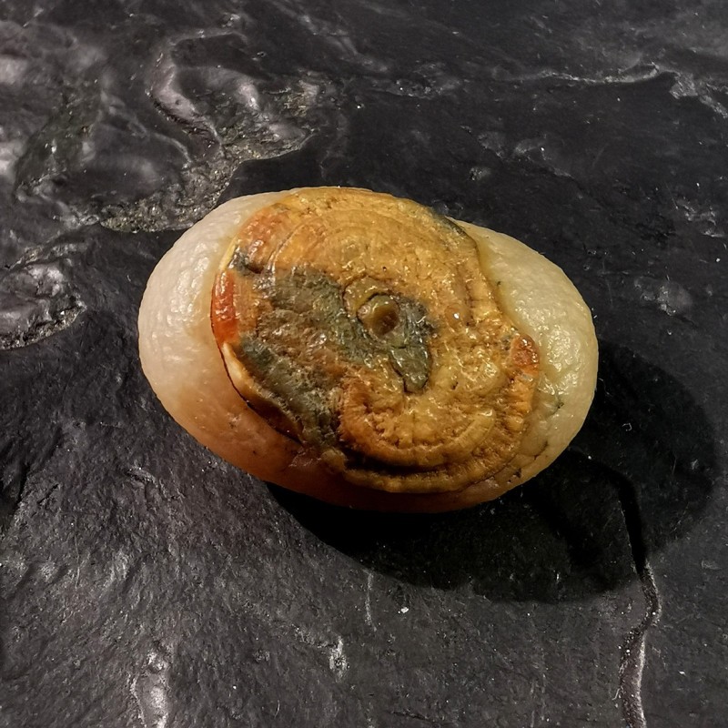 Agate yeux du désert du Gobi - 5 de Catalogue pierres et cristaux