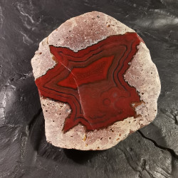 Agate oeuf de tonnerre -...