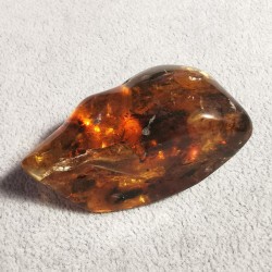 Ambre du Mexique - pièce unique 2 de Catalogue pierres et cristaux