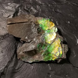 Ammolite - pièce unique 1 de Catalogue pierres et cristaux