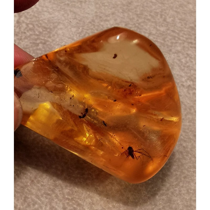 Copal de Madagascar - pièce unique avec des insectes - 2ème chakra de Catalogue pierres et cristaux