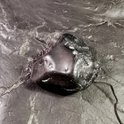 Spinelle noire - pièce...