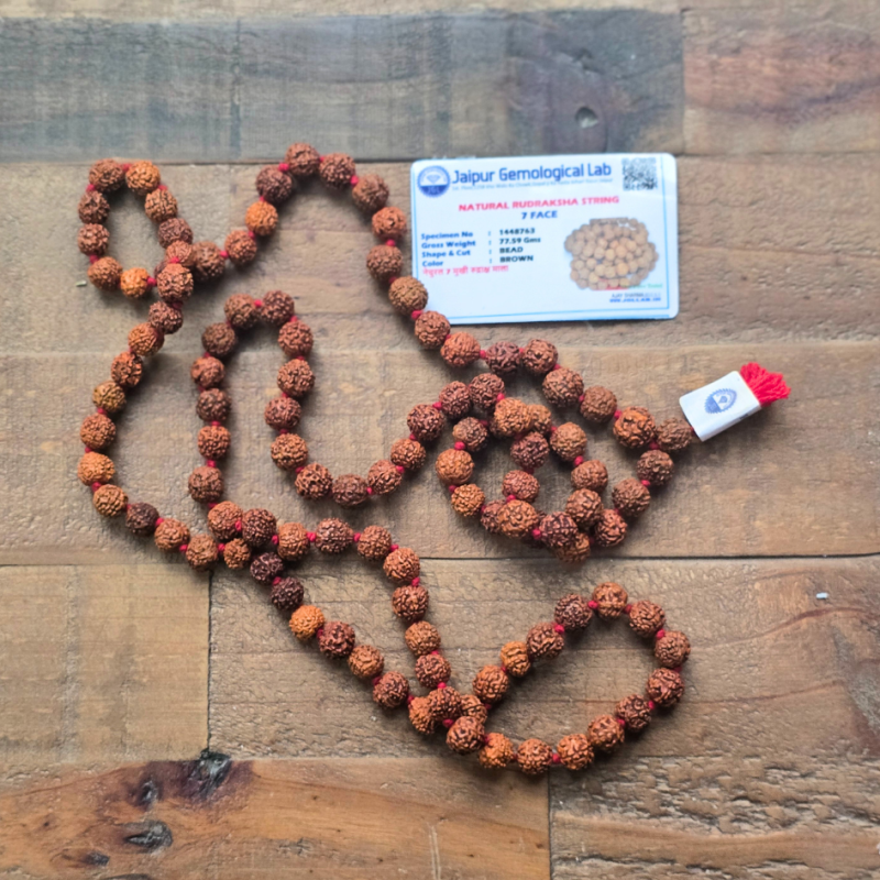Mala - rudraksha 7 mukhi certifié de Malas