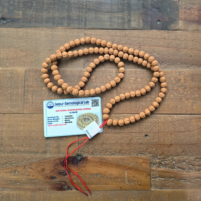 Mala rudraksha 6 mukhi certifié de Malas