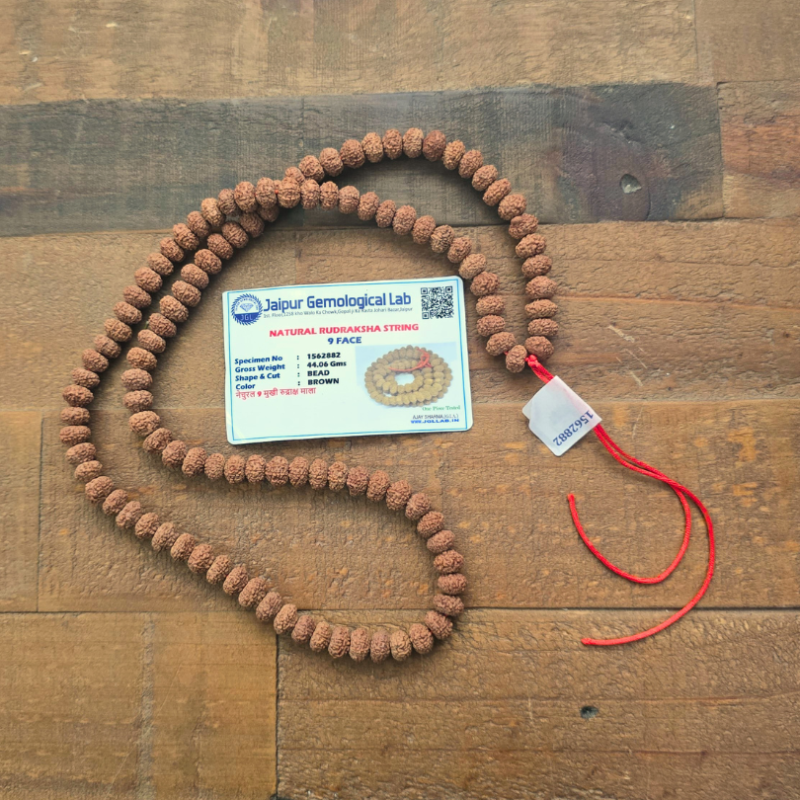 Mala rudraksha 9 mukhi certifié de Malas