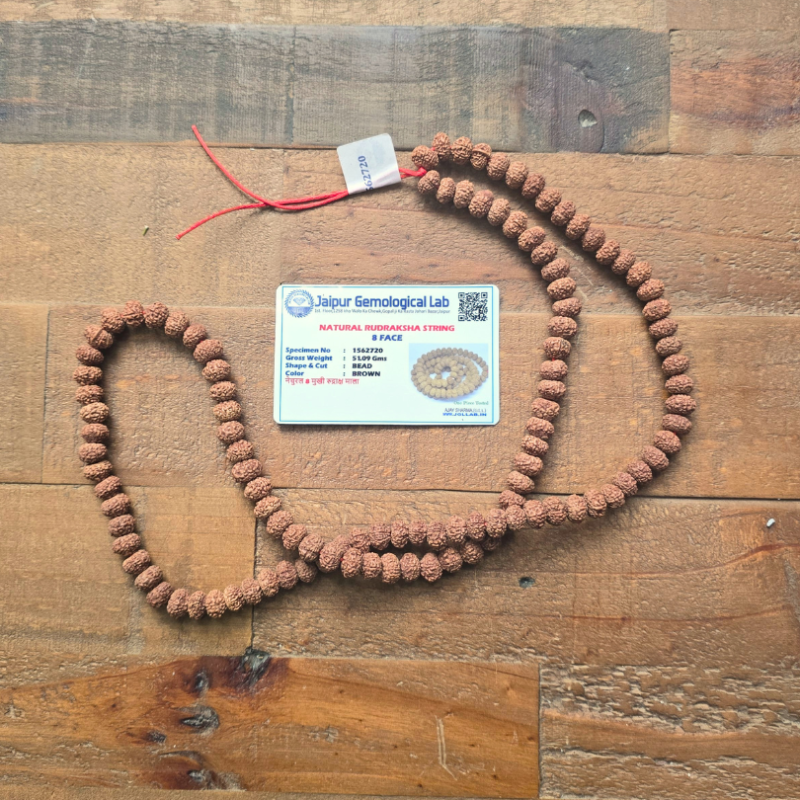 Mala rudraksha 8 mukhi certifié de Malas