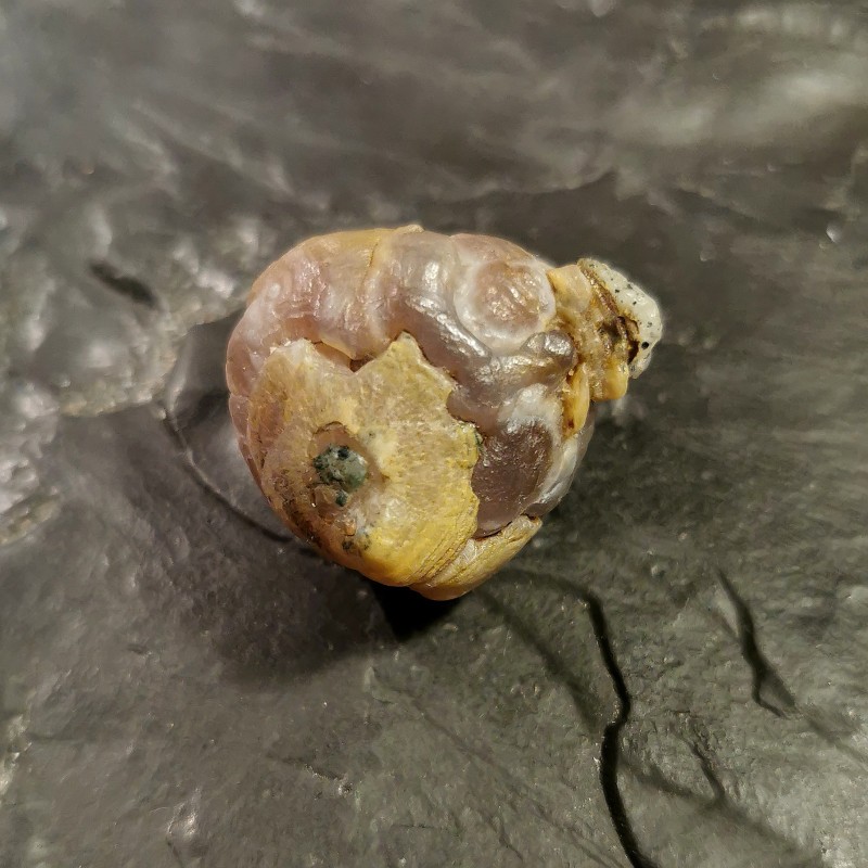 Agate yeux du désert du Gobi - 6 de Catalogue pierres et cristaux