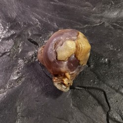 Agate yeux du désert du Gobi - 6 de Catalogue pierres et cristaux