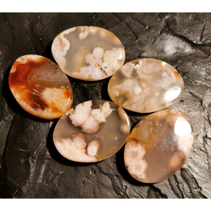 Agate fleur - pierre plate de Catalogue pierres et cristaux