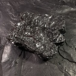 Pièce de shungite naturelle qualité argent 25gr
