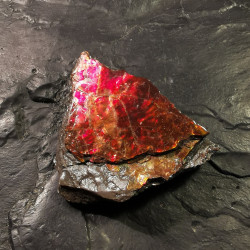 copy of Ammolite - 1
