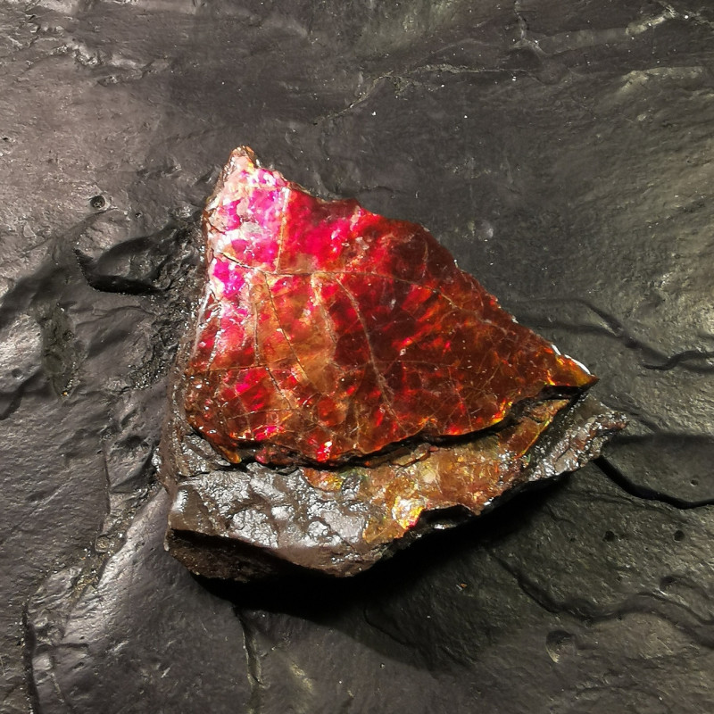 Ammolite - pièce unique 2 de Catalogue pierres et cristaux