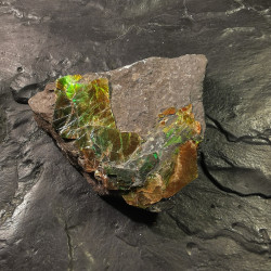 Ammolite - pièce unique 2 de Catalogue pierres et cristaux