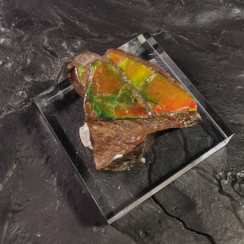 Ammolite - pièce unique 3 de Catalogue pierres et cristaux