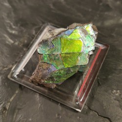 Ammolite - pièce unique 4 de Catalogue pierres et cristaux