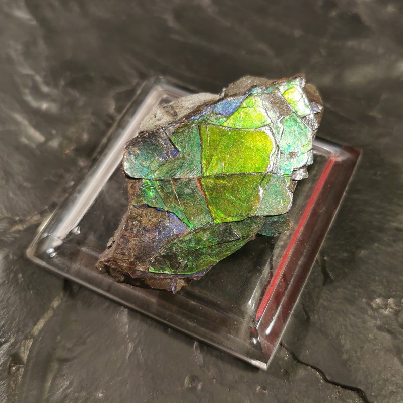 Ammolite - pièce unique 4 de Catalogue pierres et cristaux