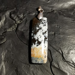copy of bois silicifié -...