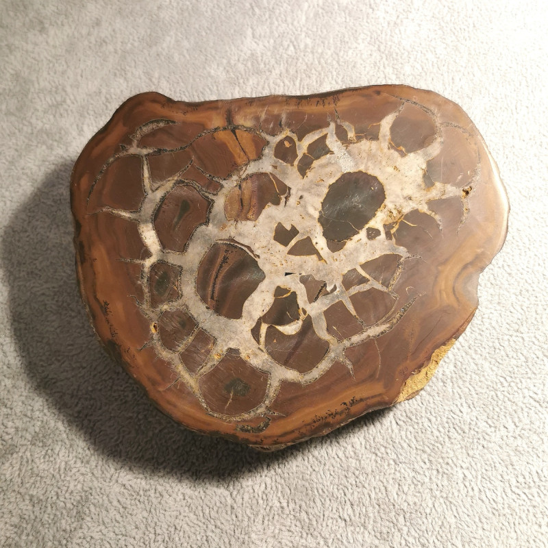 Septaria noire - pièce unique 3 - chakra bordeaux de Catalogue pierres et cristaux