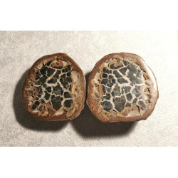 Septaria noire - couple pièce unique 3 - chakra bordeaux de Catalogue pierres et cristaux