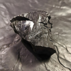 Pièce de shungite naturelle qualité argent 22gr