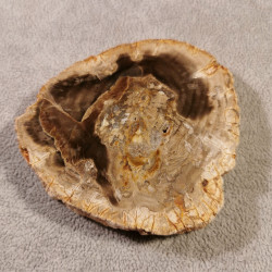 Bois silicifié - tranche - pièce unique 1 de Catalogue pierres et cristaux