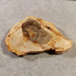 Bois silicifié - tranche - pièce unique 4 de Catalogue pierres et cristaux