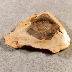 Bois silicifié - tranche - pièce unique 4 de Catalogue pierres et cristaux