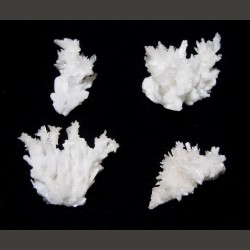 Aragonite coralloïde - 6e chakra de Catalogue pierres et cristaux